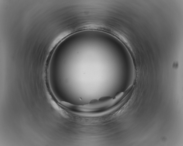 X0000090861042200707271224