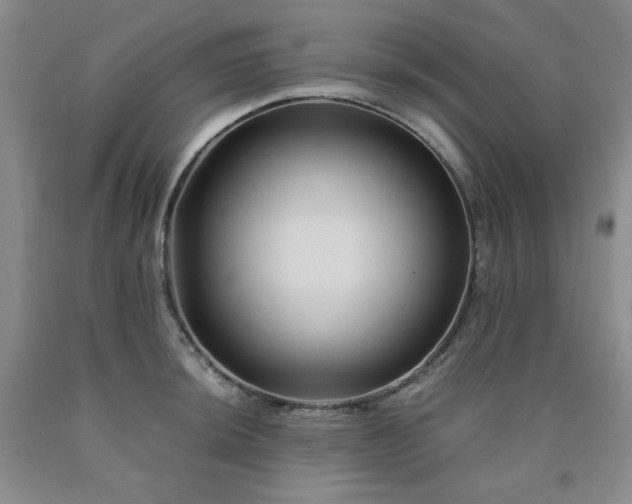 X0000090861044200707271224