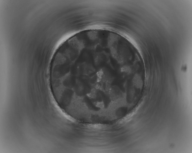 X0000090861045200707271224
