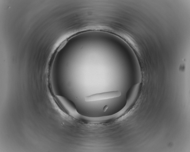 X0000090861046200707271224