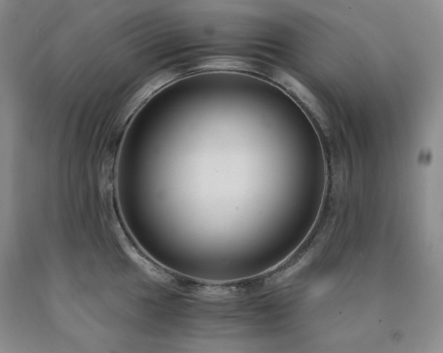 X0000090861049200707271224