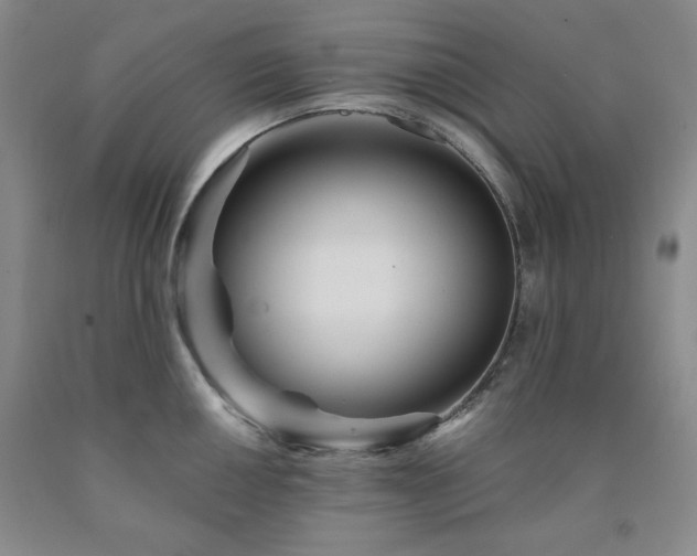 X0000090861050200707271224