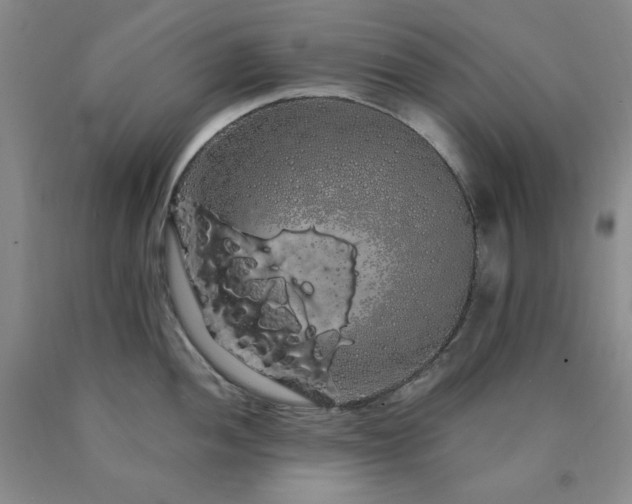 X0000090861052200707271224