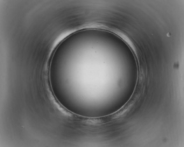 X0000090861053200707271224