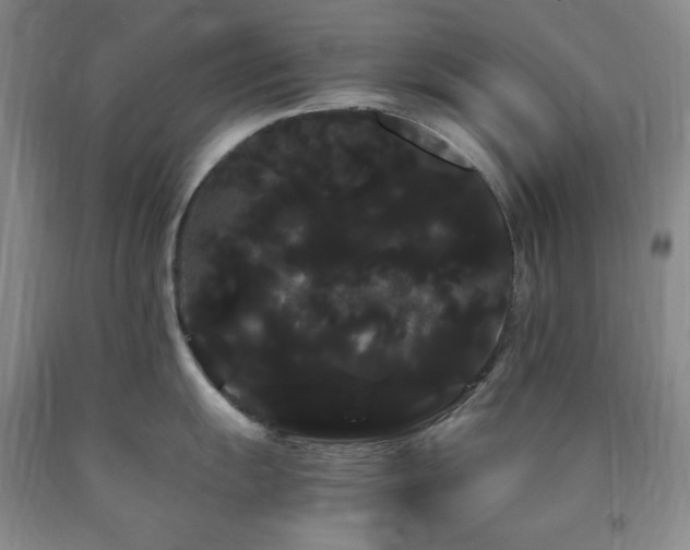 X0000090861055200707271224