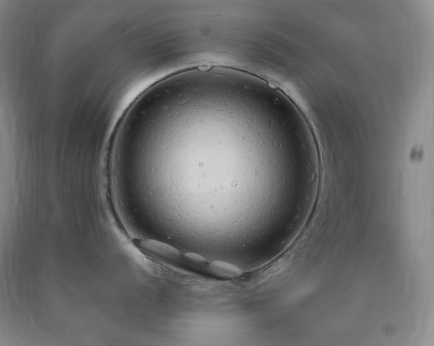 X0000090861056200707271224
