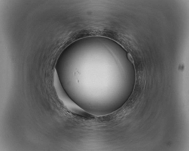 X0000090861057200707271224