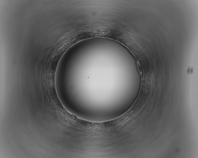 X0000090861058200707271224