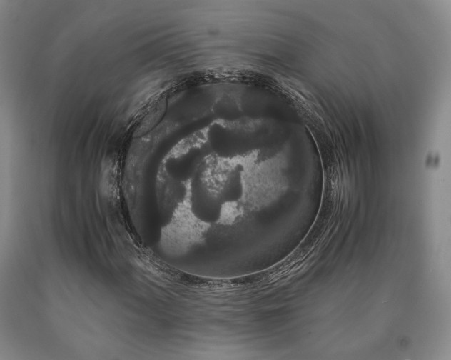 X0000090861060200707271224