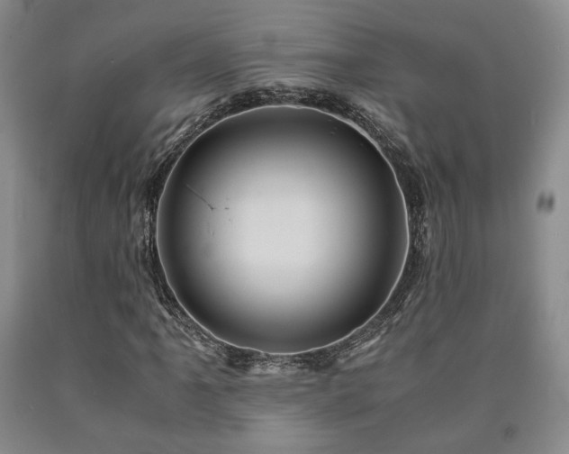 X0000090861061200707271224