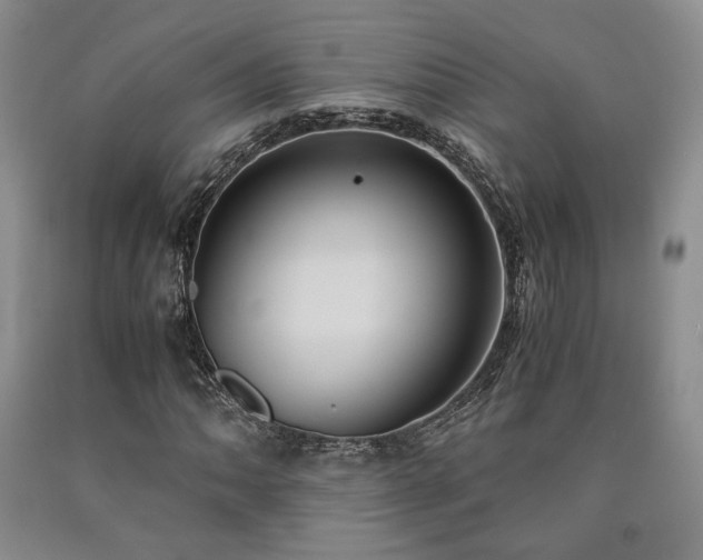 X0000090861062200707271224