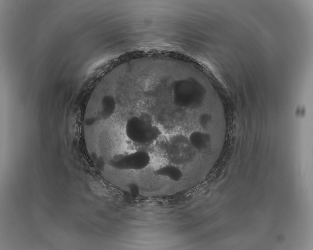 X0000090861063200707271224