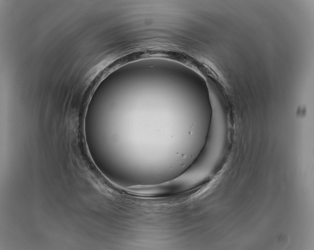 X0000090861065200707271224