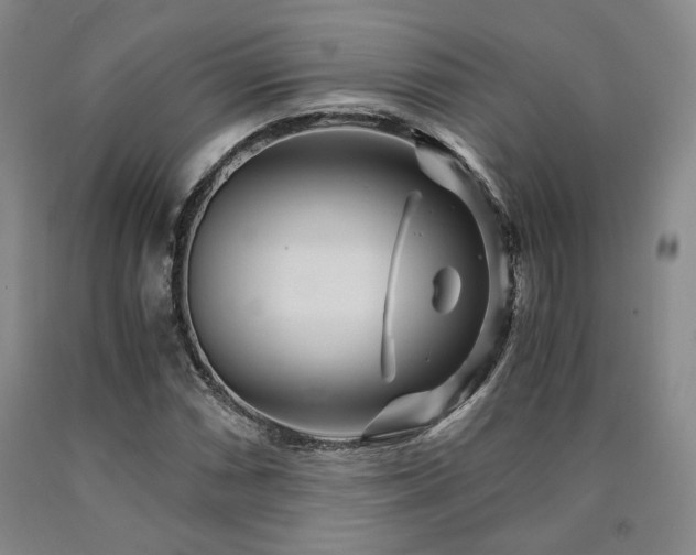 X0000090861066200707271224