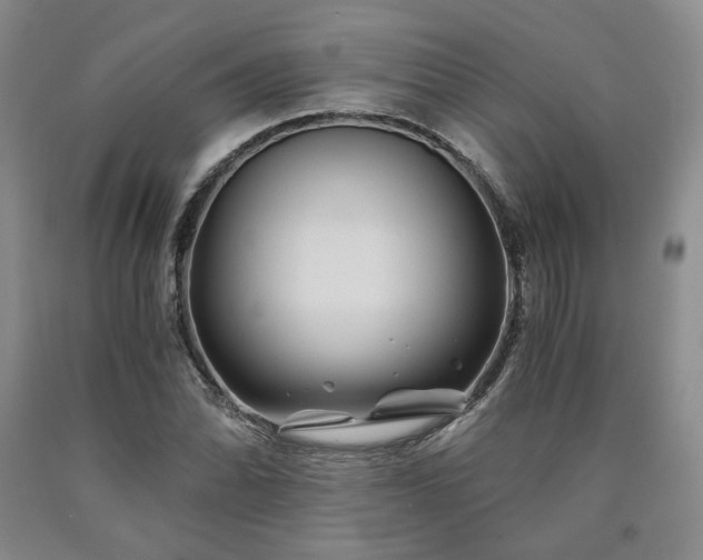 X0000090861070200707271224
