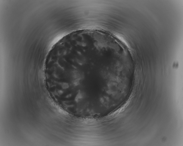X0000090861071200707271224