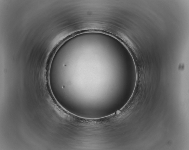 X0000090861072200707271224