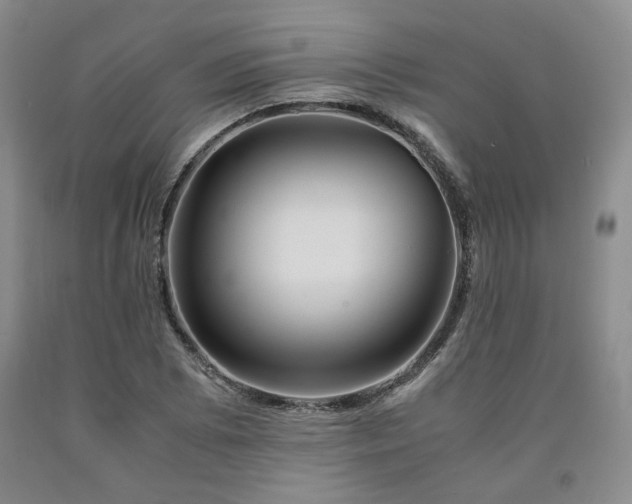 X0000090861073200707271224