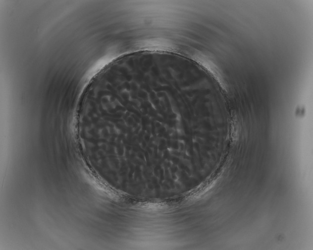 X0000090861074200707271224