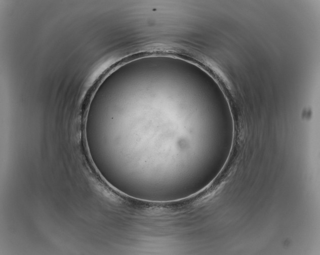 X0000090861075200707271224