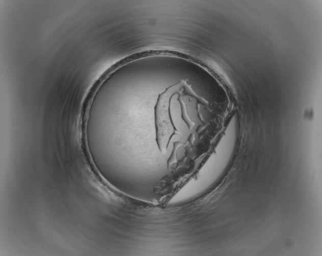 X0000090861076200707271224