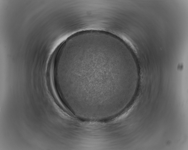 X0000090861077200707271224