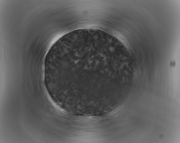 X0000090861079200707271223
