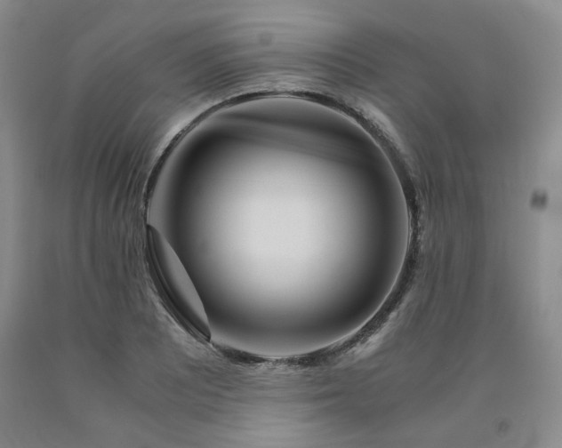 X0000090861081200707271223