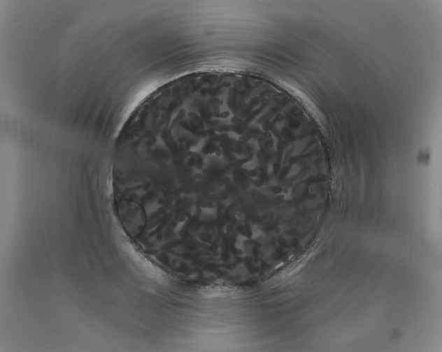X0000090861083200707271223