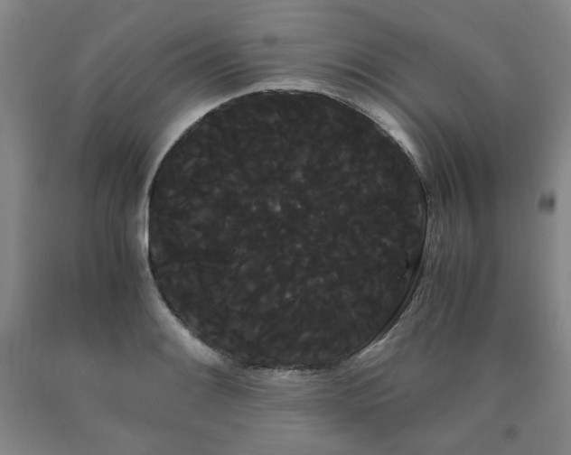 X0000090861084200707271223