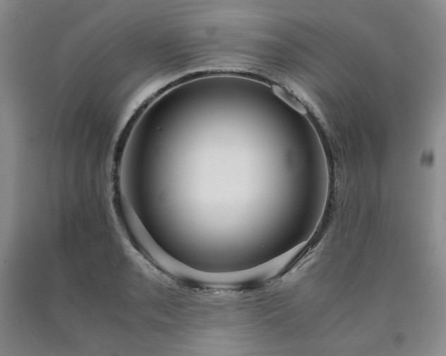 X0000090861085200707271223