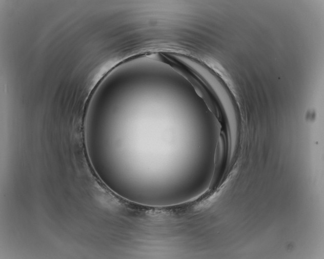 X0000090861089200707271223