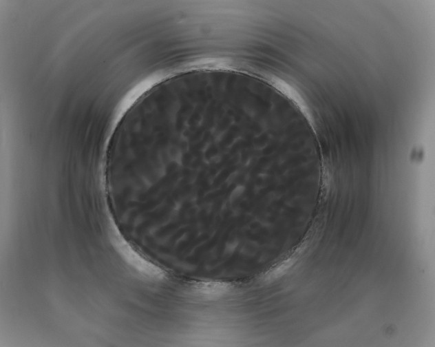 X0000090861090200707271223