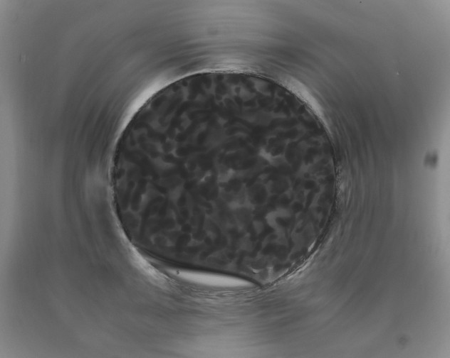 X0000090861091200707271223