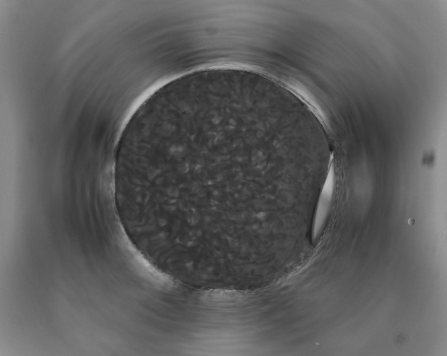 X0000090861092200707271223
