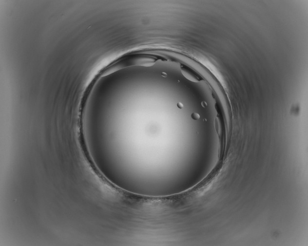 X0000090861093200707271223