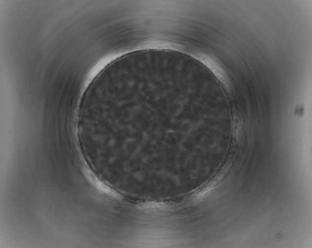 X0000090861094200707271223