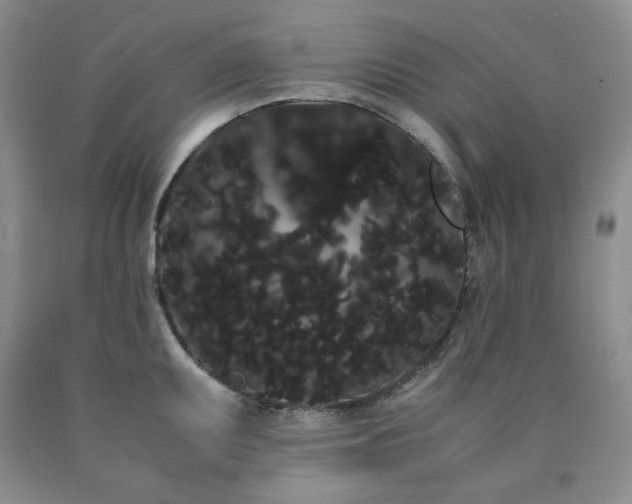 X0000090861095200707271223