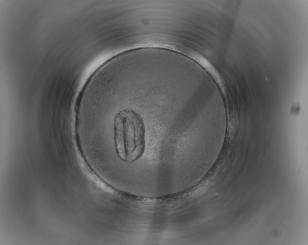 X0000090861096200707271223