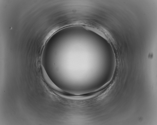 X0000090861097200707271223