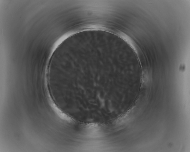 X0000090861098200707271223