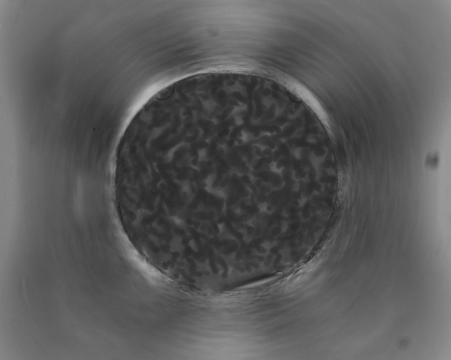 X0000090861099200707271223