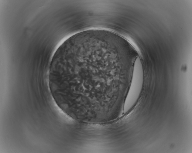 X0000090861100200707271223