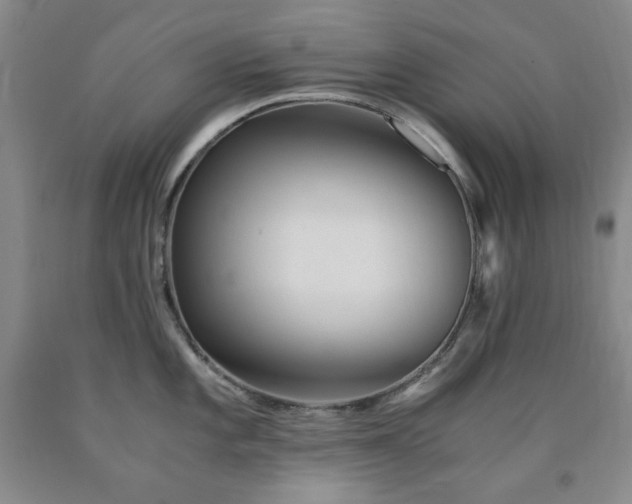 X0000090861101200707271223