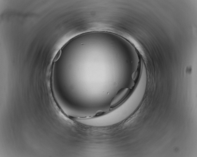 X0000090861102200707271223