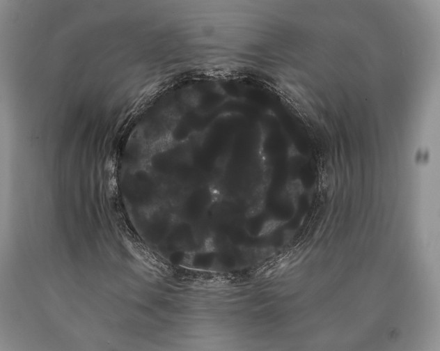 X0000090861106200707271223