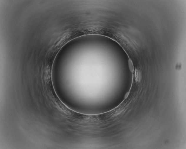 X0000090861107200707271223