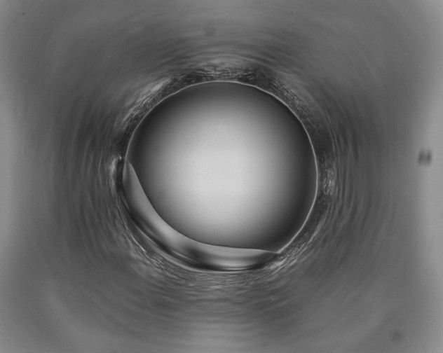 X0000090861108200707271223