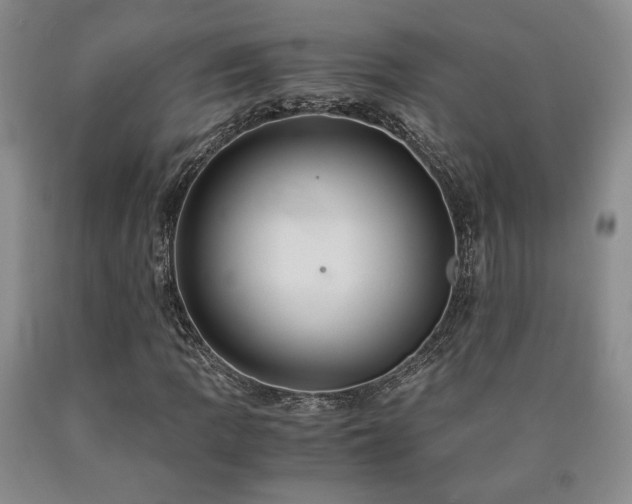 X0000090861109200707271223