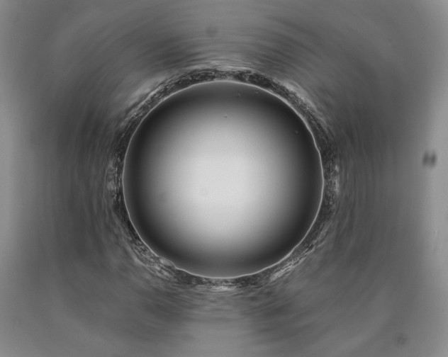 X0000090861110200707271223